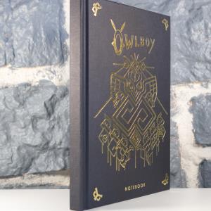 Owlboy Edition Collector (27)